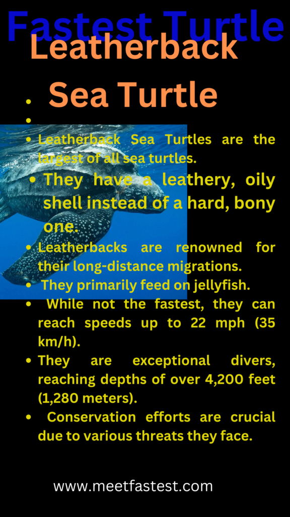 fastest turtle